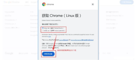 谷歌浏览器linux版如何安装5