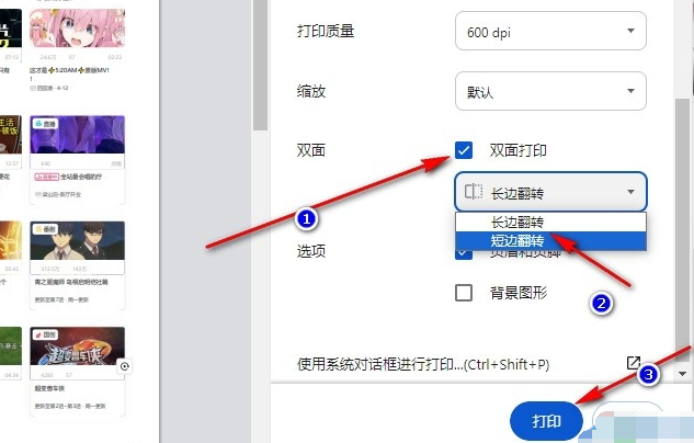 谷歌浏览器如何将网页双面打印6